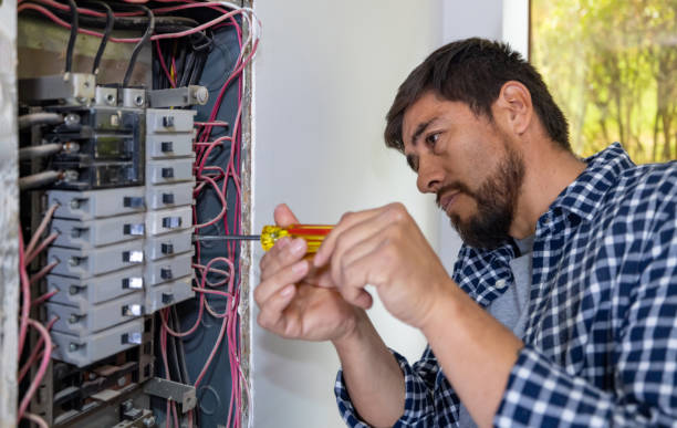 Best Electrical System Inspection  in Mendon, UT